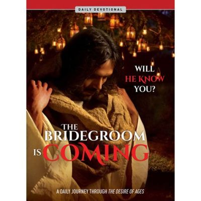  The Bridegroom: A Symbolic Journey Through Color and Form!